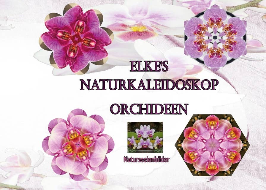 Elkes Naturkaleidoskop: Orchideen