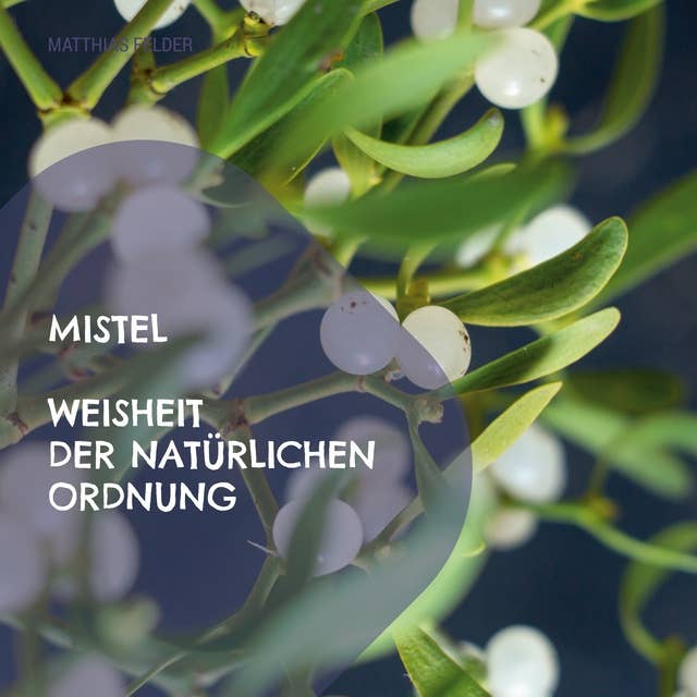 Mistel - Weisheit der natürlichen Ordnung: Beschreibung der Heilkräfte der Mistel - Viscum album für Körper, Geist und Seele