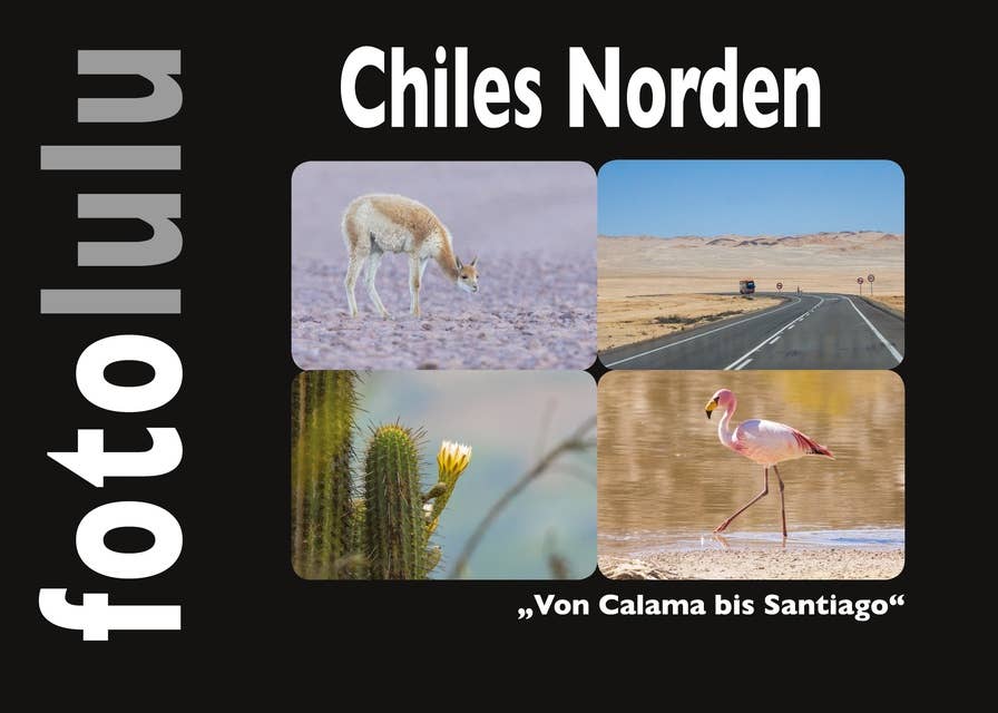 Chiles Norden: Von Calama bis Santiago