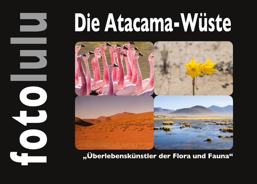 Die Atacama-Wüste: Überlebenskünstler der Flora und Fauna