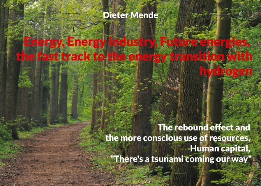 Energy Energy industry Future energies, the fast track to the energy transition with hydrogen: The rebound effect and the more conscious use of resources, Human capital, There's a tsunami coming our way