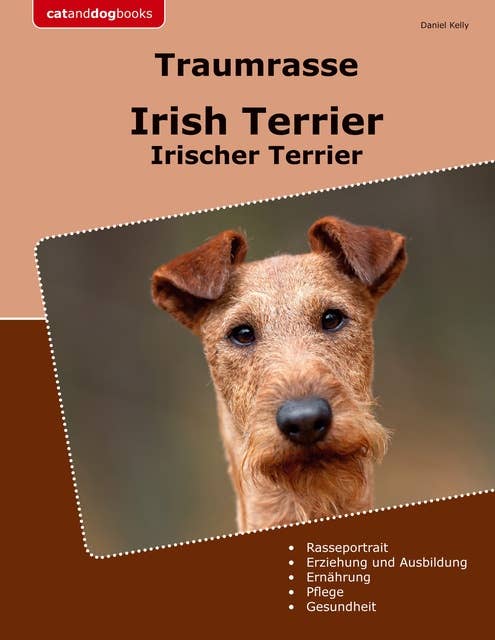 Traumrasse Irish Terrier: Irischer Terrier 