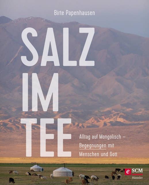 Salz im Tee: Alltag auf Mongolisch - Begegnungen mit Menschen und Gott