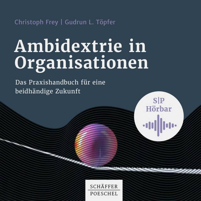 Ambidextrie in Organisationen: Das Praxisbuch für eine beidhändige Zukunft