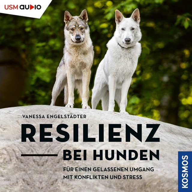 Resilienz bei Hunden: Für einen gelassenen Umgang mit Konflikten und Stress