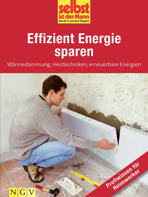 Effizient Energie sparen - Profiwissen für Heimwerker: Wärmedämmung, Heiztechniken, erneuerbare Energien