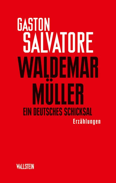 Waldemar Müller: Ein Deutsches Schicksal: Ein deutsches Schicksal. Erzählungen