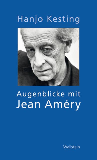Augenblicke mit Jean Améry: Essays und Erinnerungen