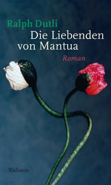 Die Liebenden von Mantua: Roman