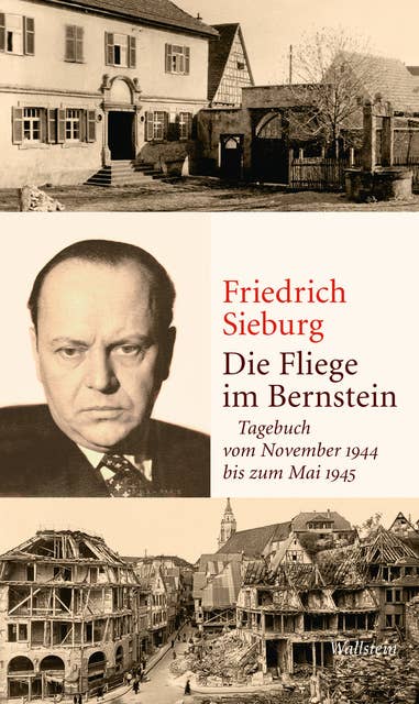 Die Fliege im Bernstein: Tagebuch vom November 1944 bis zum Mai 1945