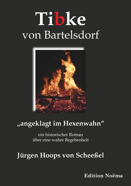 Tibke von Bartelsdorf: "angeklagt im Hexenwahn". Ein historischer Roman über eine wahre Begebenheit