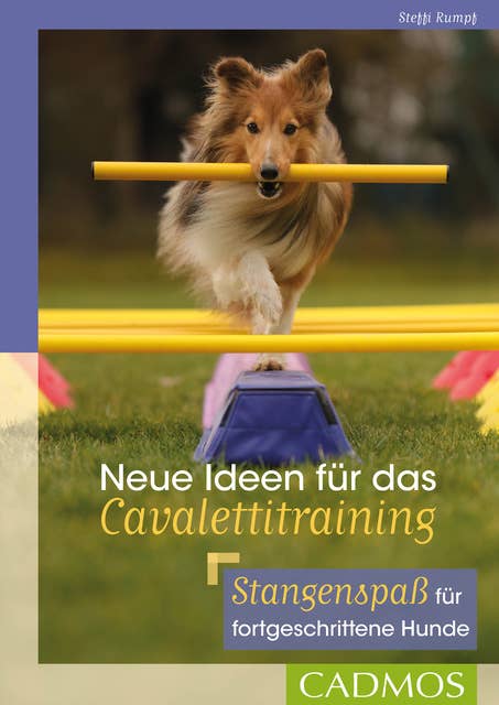 Neue Ideen für das Cavalettitraining: Stangenspaß für fortgeschrittene Hunde