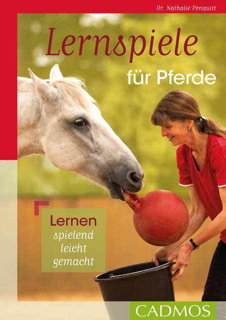 Lernspiele für Pferde: Lernen, spielend leicht gemacht