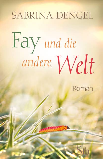 Fay und die andere Welt: Roman