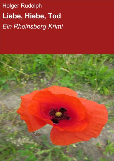 Liebe, Hiebe, Tod: Ein Rheinsberg-Krimi