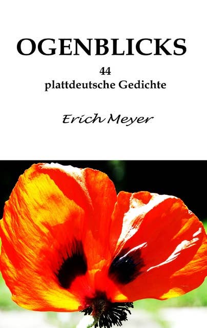 Ogenblicks: 44 plattdeutsche Gedichte