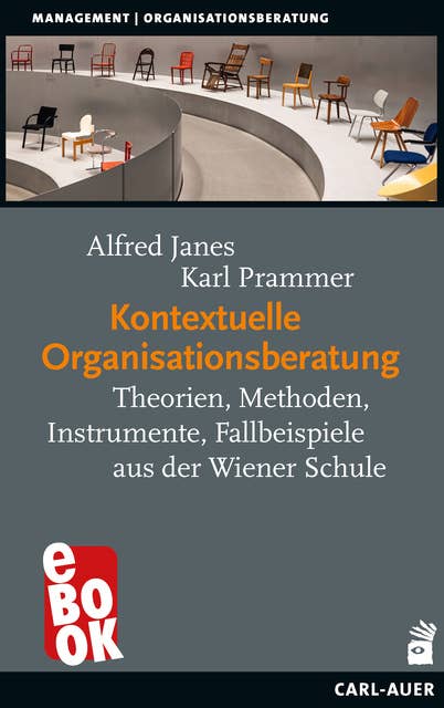 Kontextuelle Organisationsberatung: Theorien, Methoden, Instrumente, Fallbeispiele aus der Wiener Schule