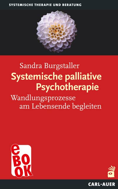 Systemische palliative Psychotherapie: Wandlungsprozesse am Lebensende begleiten
