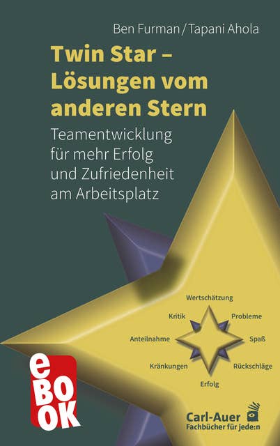 Twin Star - Lösungen von anderen Stern: Teamentwicklung für mehr Erfolg und Zufriedenheit am Arbeitsplatz