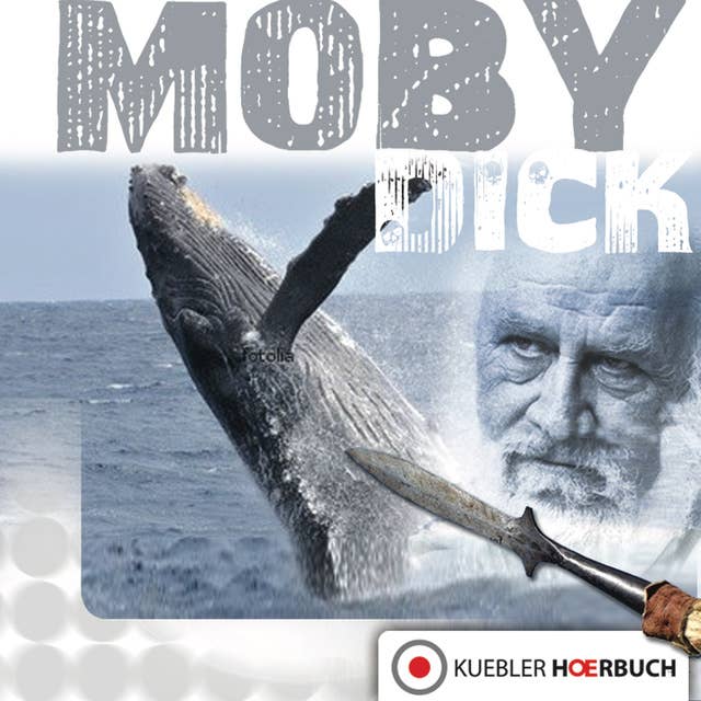 Moby Dick: Band 4