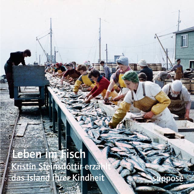 Leben im Fisch: Kristín Steinsdóttir erzählt das Island ihrer Kindheit