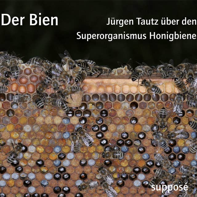 Der Bien: Jürgen Tautz über den Superorganismus Honigbiene