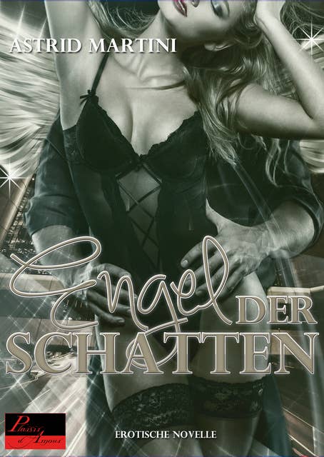 Der Engel der Schatten: Erotischer Roman