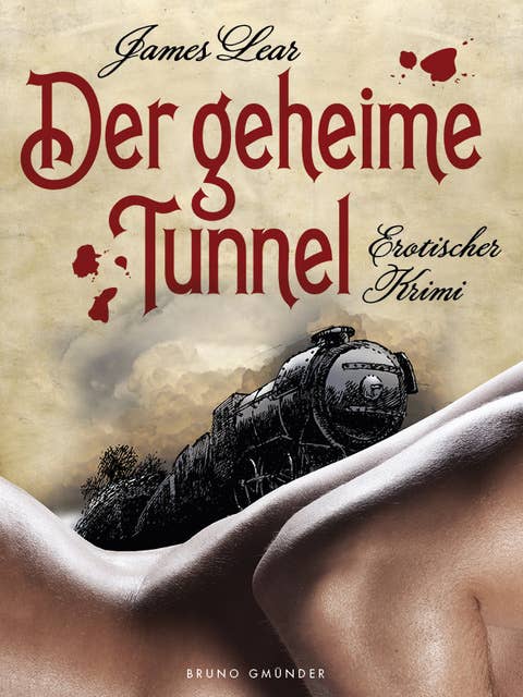 Der geheime Tunnel: Erotischer Krimi (Gay Erotic Mystery)
