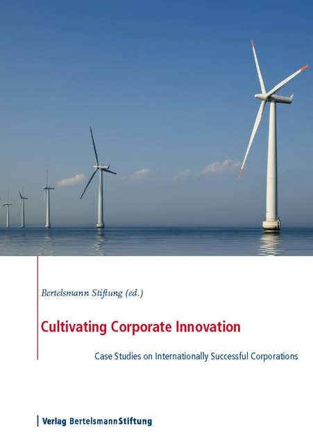 Cultivating Corporate Innovation: Case Studies on Internationally Successful Corporations