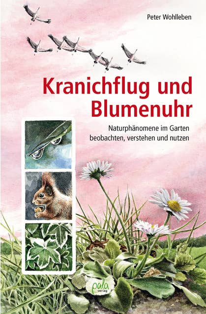 Cover for Kranichflug und Blumenuhr: Naturphänomene im Garten beobachten, verstehen und nutzen