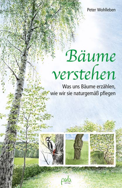 Cover for Bäume verstehen: Was uns Bäume erzählen, wie wir sie naturgemäß pflegen