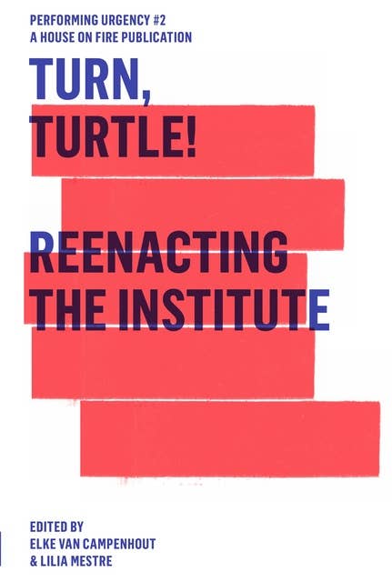 Turn, Turtle!: Reenacting The Institute