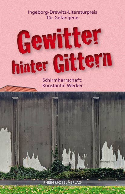 Gewitter hinter Gittern: Ingeborg-Drewitz-Literaturpreis für Gefangene