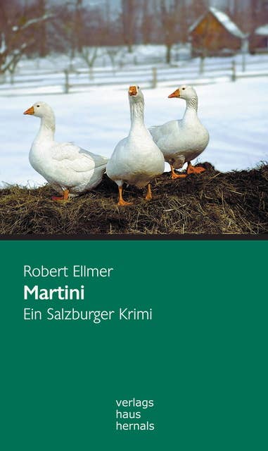 Martini: Ein Salzburger Krimi: Huber-Krimi – Band 1
