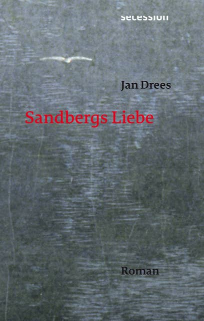 Sandbergs Liebe: Roman
