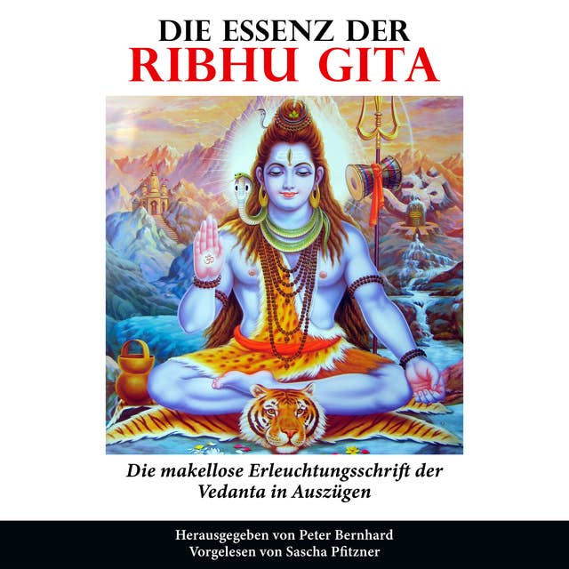 Die Essenz der Ribhu Gita: Die makellose Erleuchtungsschrift der Vedanta in Auszügen