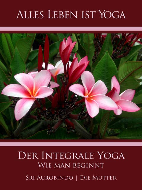 Der Integrale Yoga: Wie man beginnt