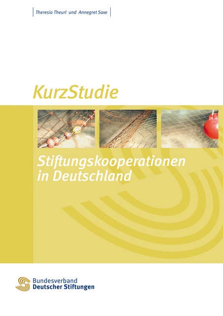 Stiftungskooperationen in Deutschland: KurzStudie