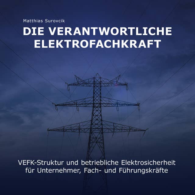 Die Verantwortliche Elektrofachkraft: VEFK-Struktur und Betriebliche Elektrosicherheit für Unternehmer, Fach und Führungskräfte