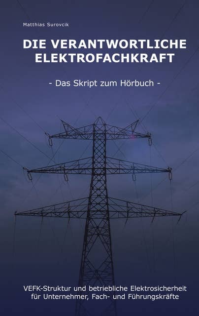 Die Verantwortliche Elektrofachkraft: VEFK-Struktur und Betriebliche Elektrosicherheit für Unternehmer, Fach- und Führungskräfte