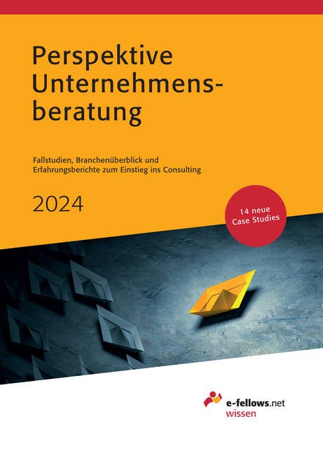 Perspektive Unternehmensberatung 2024: Fallstudien, Branchenüberblick und Erfahrungsberichte zum Einstieg ins Consulting