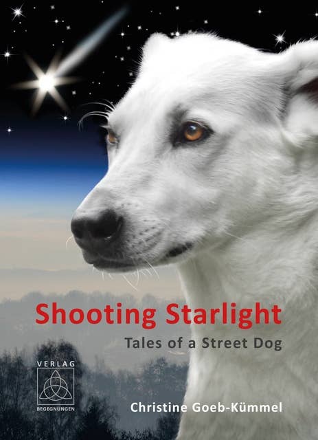 Shooting Starlight: Tales of a Street Dog