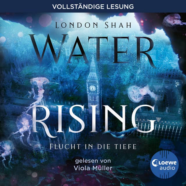 Water Rising (Band 1) - Flucht in die Tiefe: Dystopischer Climate Thriller ab 14 Jahren