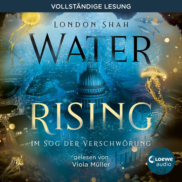 Water Rising (Band 2) - Im Sog der Verschwörung: Dystopischer Climate Thriller ab 14 Jahren