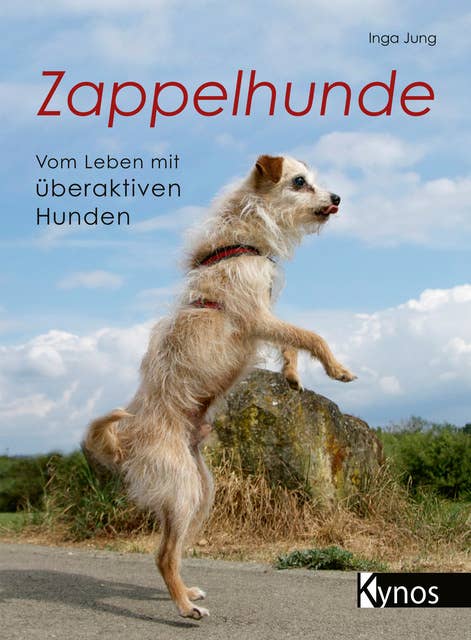 Zappelhunde: Vom Leben mit überaktiven Hunden
