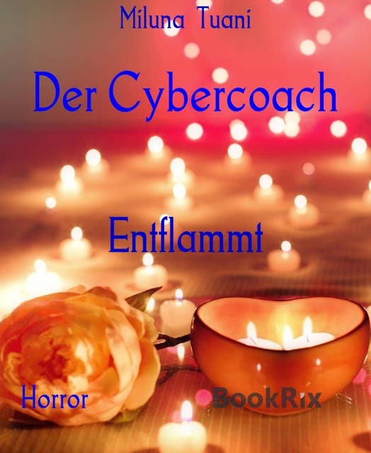 Der Cybercoach: Entflammt