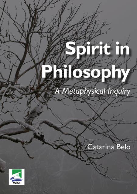 Spirit in Philosophy: A Metaphysical Inquiry