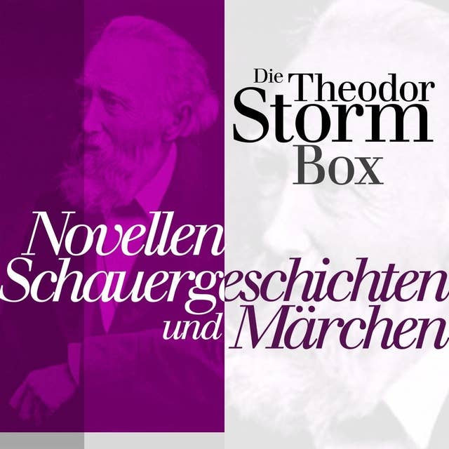 Novellen, Schauergeschichten und Märchen: Die Theodor Storm Box