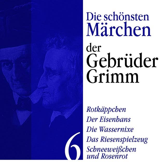 Die schönsten Märchen der Gebrüder Grimm - Band 6