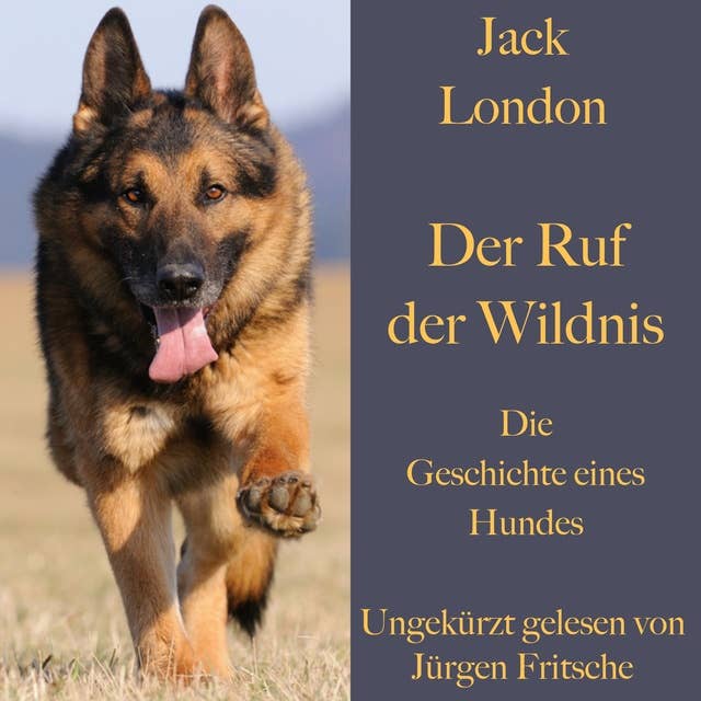 Der Ruf der Wildnis: Die Geschichte eines Hundes: Ein Abenteuerroman